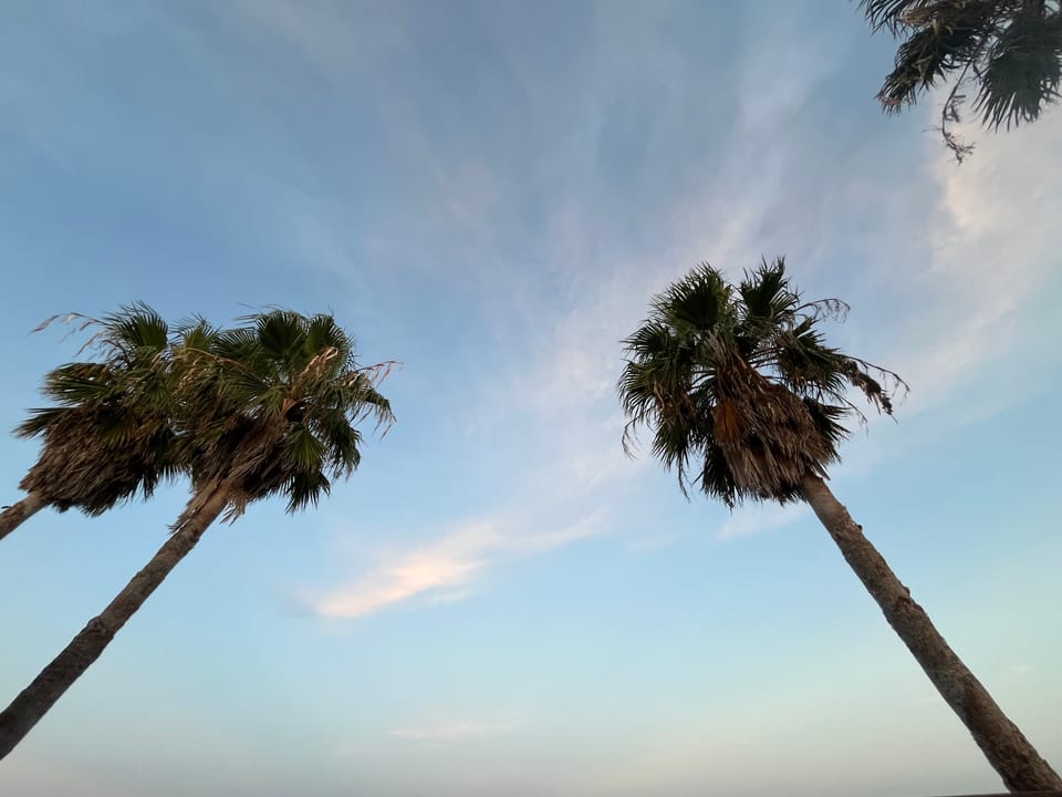 Beach Day